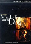My Life as a Dog (1985).jpg